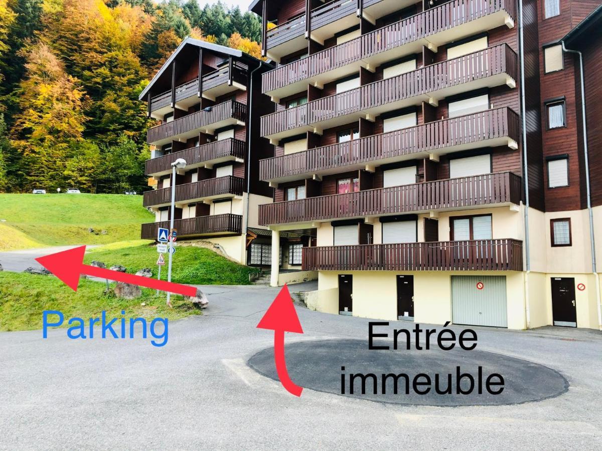Studio 4 Personnes A 80M Des Pistes De Ski Saint-Jean-dʼAulps Dış mekan fotoğraf